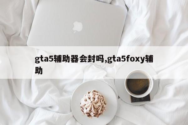gta5辅助器会封吗,gta5foxy辅助